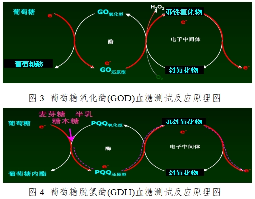 血糖儀注冊技術(shù)審查指導原則（2016年修訂版）（2016年第22號）(圖3)