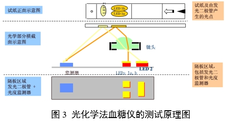 血糖儀注冊審查指導(dǎo)原則（2024年修訂版）（2024年第21號）(圖2)