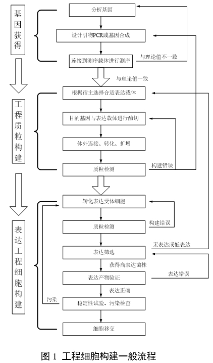 重組人源化膠原蛋白原材料評價指導原則（2023年第16號）(圖3)