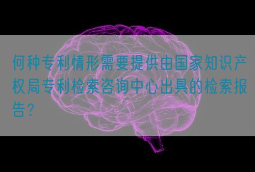 何種專利情形需要提供由國(guó)家知識(shí)產(chǎn)權(quán)局專利檢索咨詢中心出具的檢索報(bào)告？(圖1)