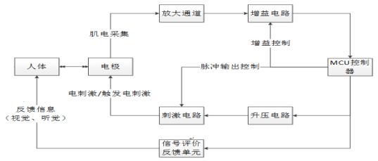 肌電生物反饋治療儀注冊(cè)技術(shù)審查指導(dǎo)原則（2019年第79號(hào)）(圖3)